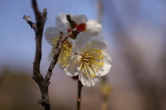 大高緑地公園にて