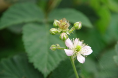 名古屋市農業センターにて　