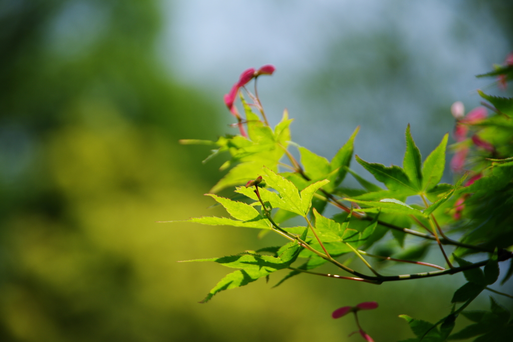 柔らかな日差しの中で