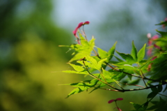 柔らかな日差しの中で