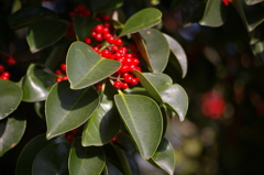 名古屋市農業センターにて