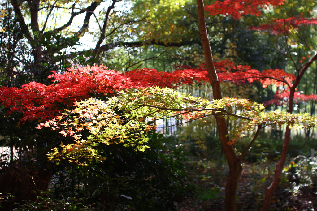 名古屋市農業センターにて