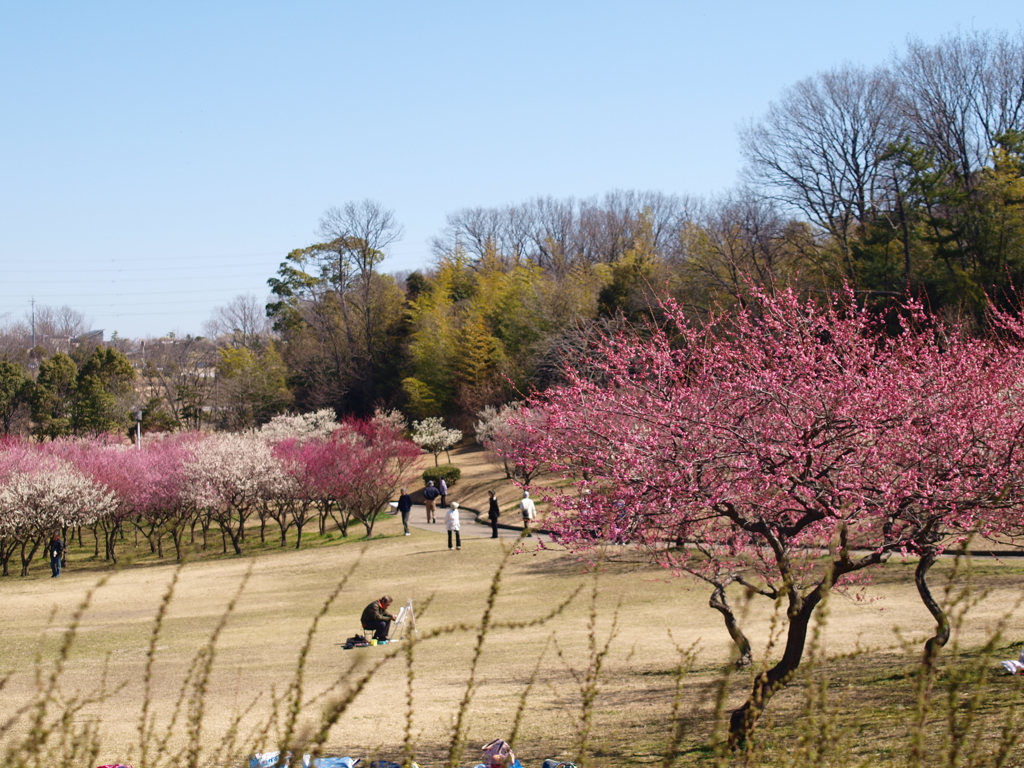 大高緑地公園にて　