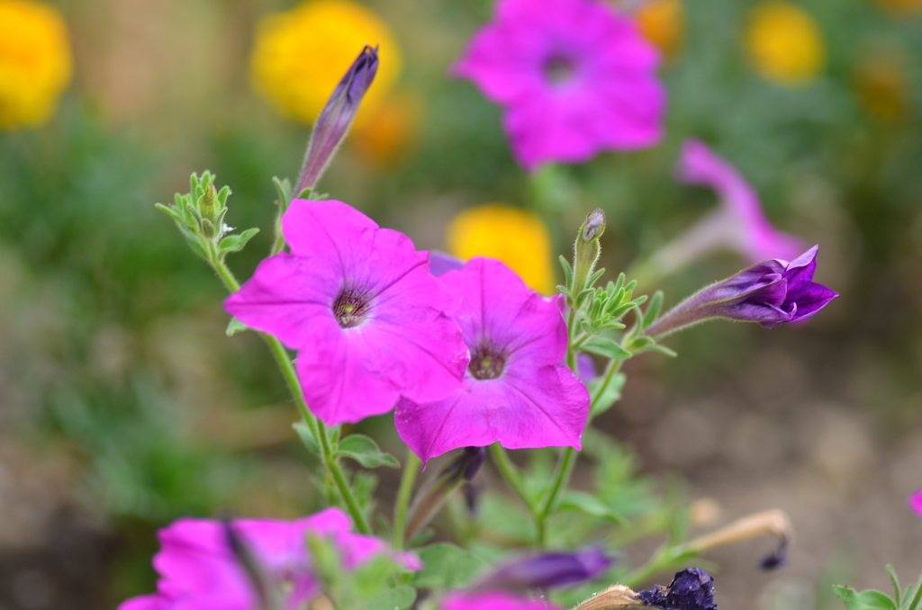 大高緑地公園にて　