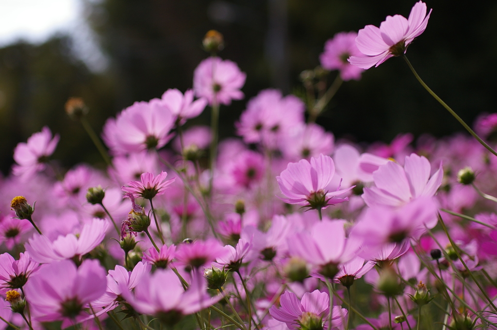 みどりが丘公園にて　