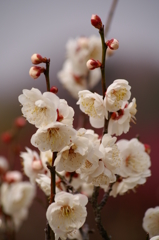 大高緑地公園にて　