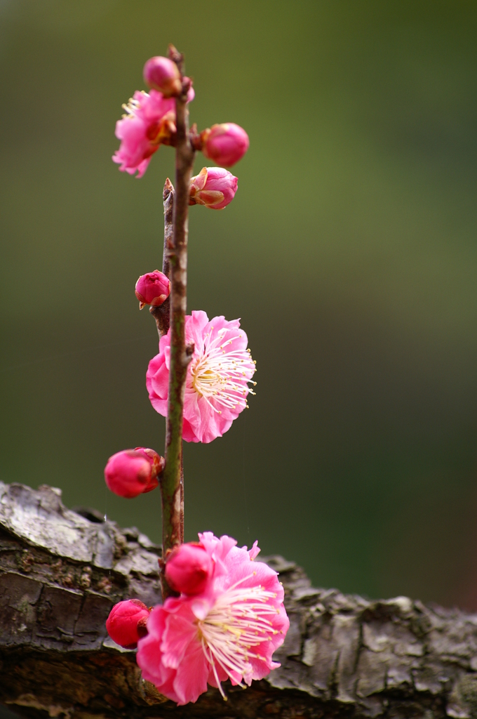 大高緑地公園にて　