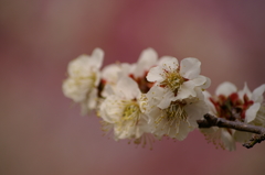 大高緑地公園にて　