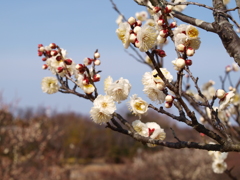 大高緑地公園にて