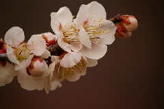 大高緑地公園にて　