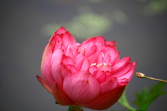 名古屋市農業センターにて　