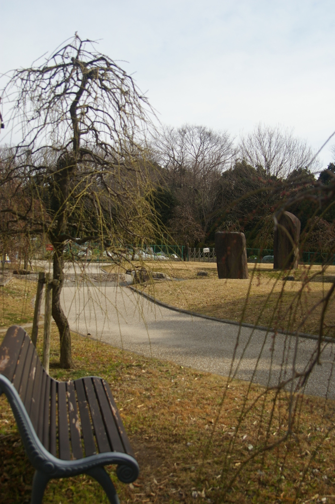 開花を待つベンチ