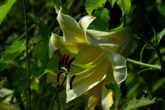 名古屋市農業センターにて　