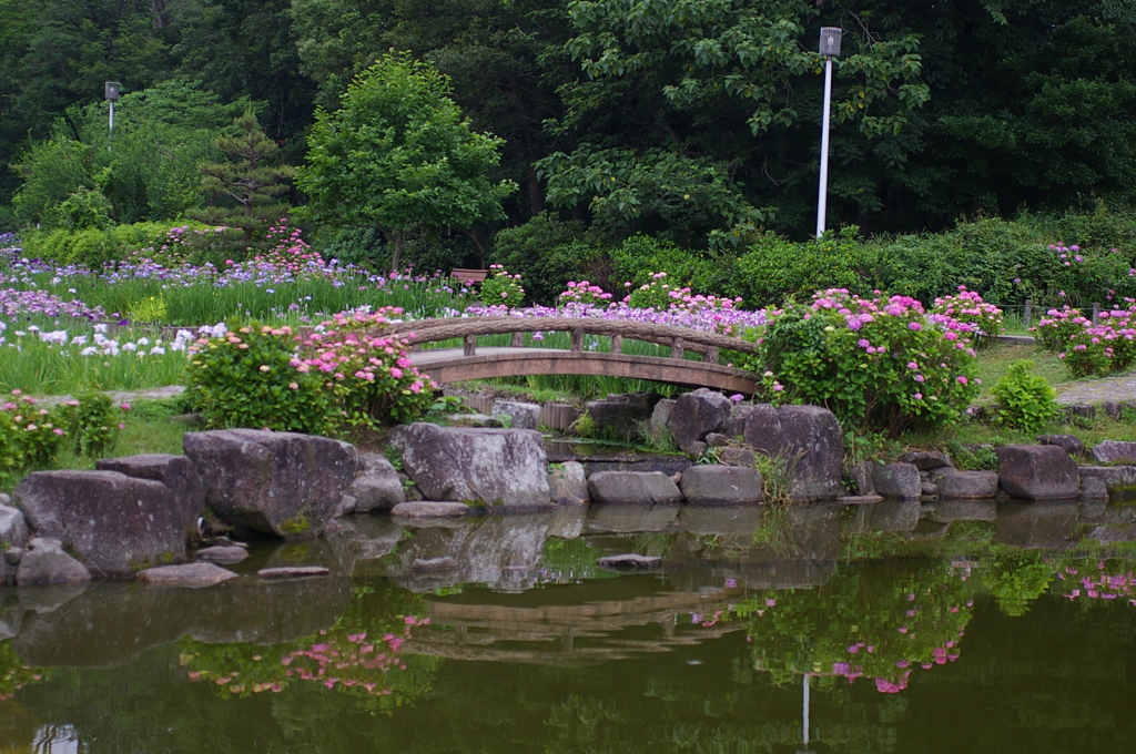 大高緑地公園にて