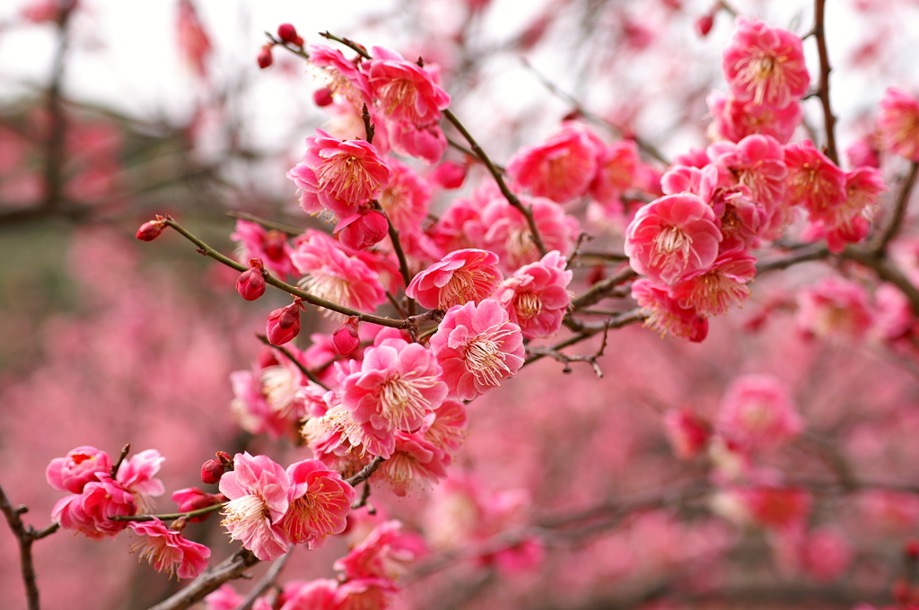 大高緑地公園にて　