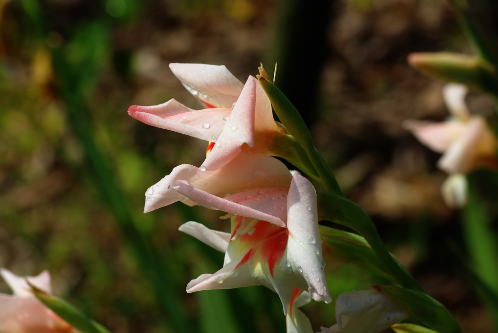 名古屋市農業センターにて　