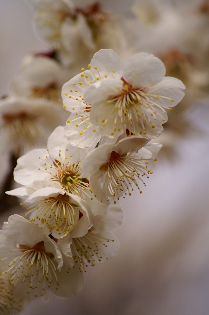 大高緑地公園にて　