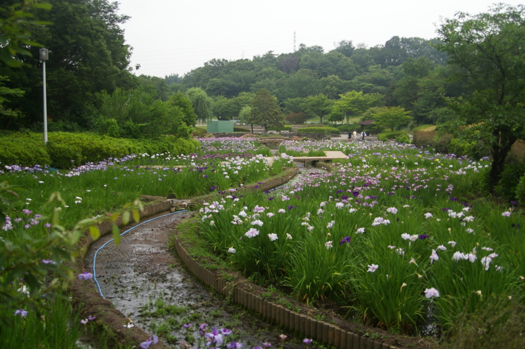 大高緑地公園にて