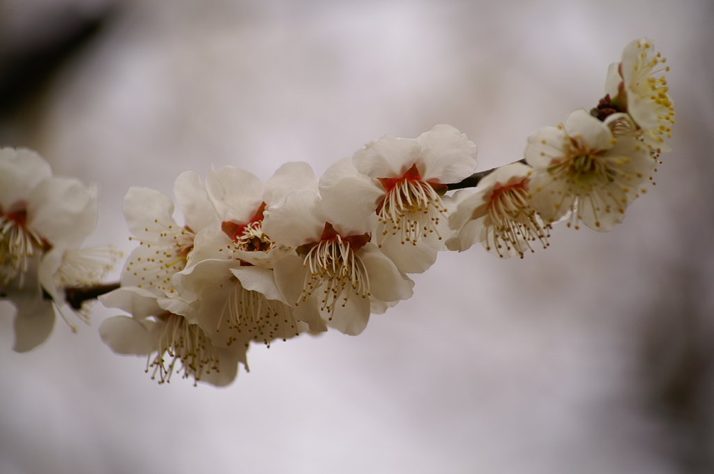 大高緑地公園にて　