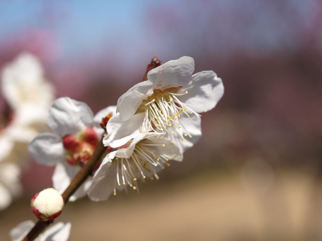 大高緑地公園にて　