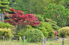 大高緑地公園にて　