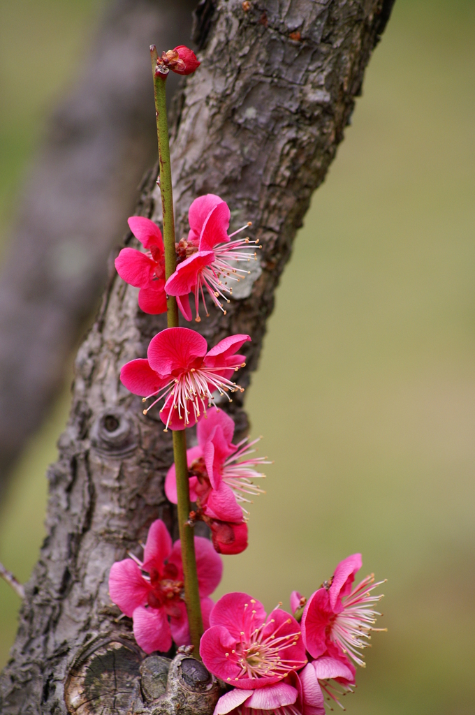 大高緑地公園にて　