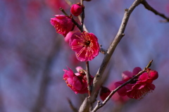 大高緑地公園にて