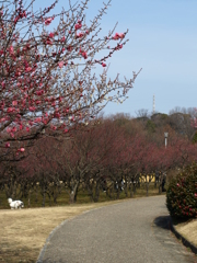 大高緑地公園にて