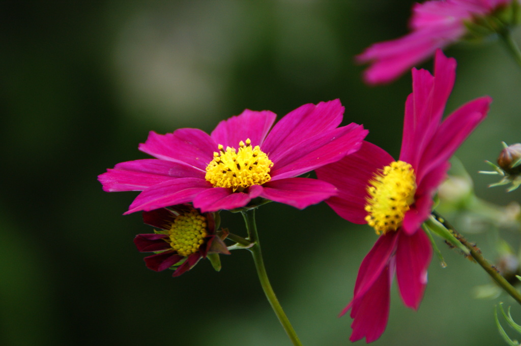大高緑地公園にて