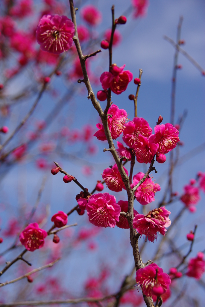 大高緑地公園にて　