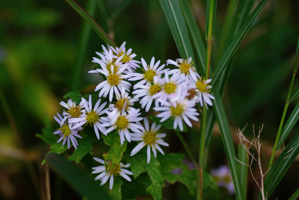 大高緑地公園にて
