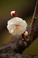 大高緑地公園にて　