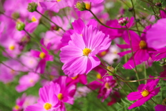 みどりが丘公園にて　