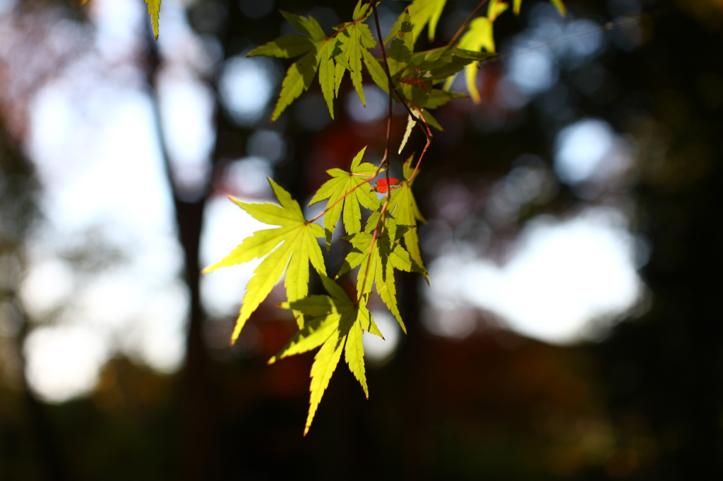 名古屋市農業センターにて