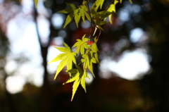 名古屋市農業センターにて