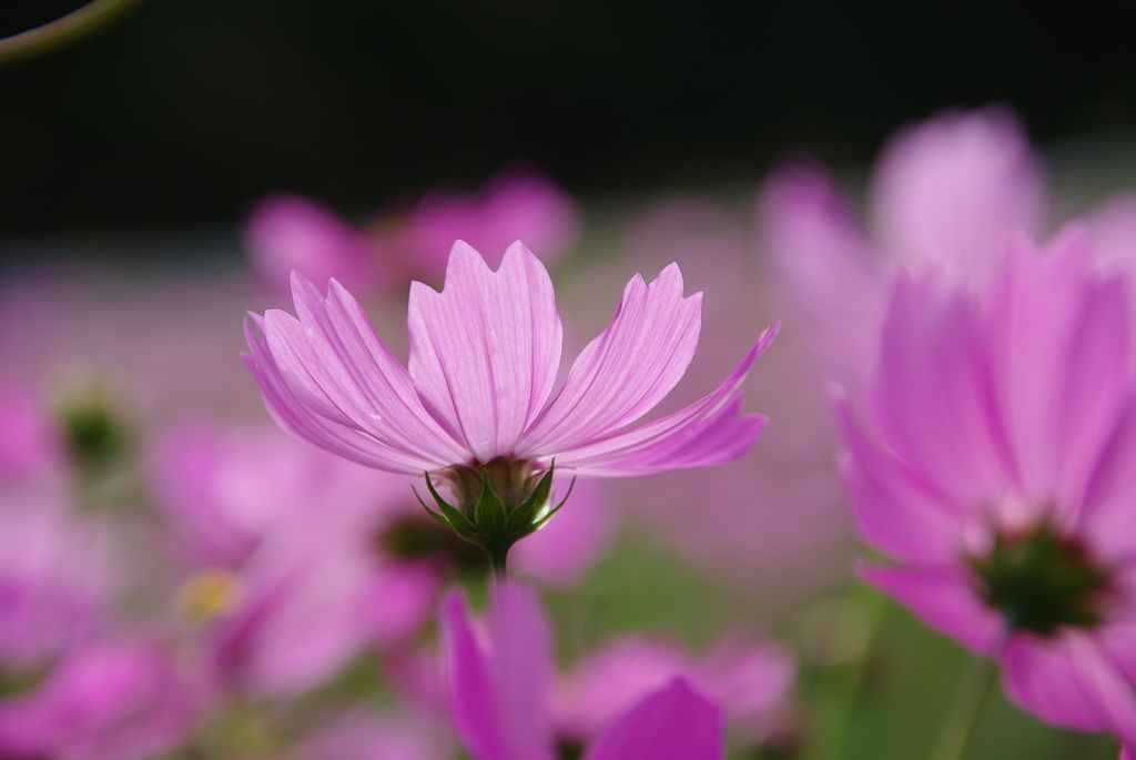 みどりが丘公園にて　