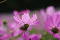 みどりが丘公園にて　