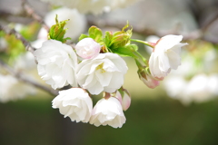 大高緑地公園にて　