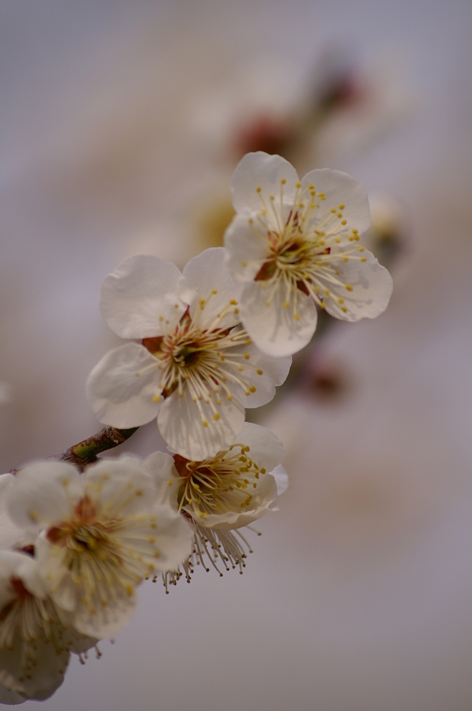 大高緑地公園にて　