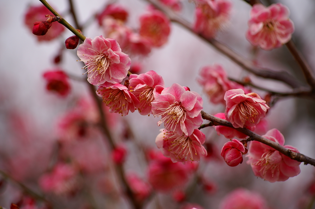 大高緑地公園にて　