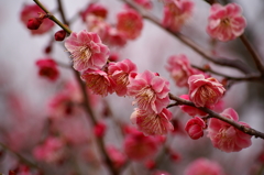 大高緑地公園にて　