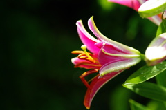 名古屋市農業センターにて　