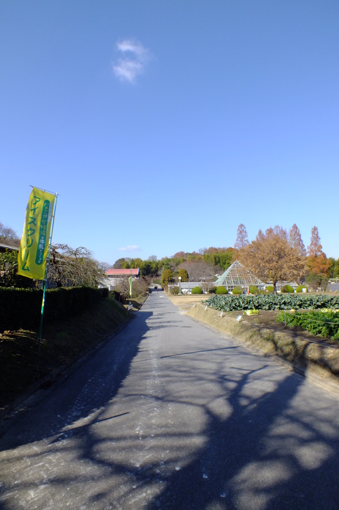 名古屋市農業センターにて　