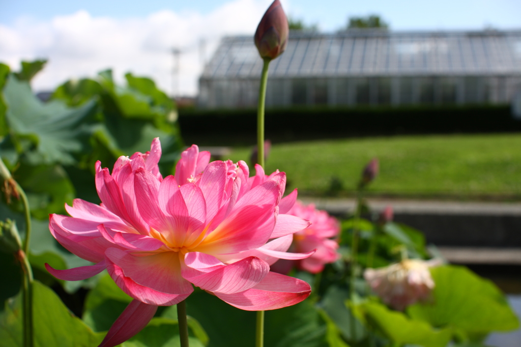 名古屋市農業センターにて　