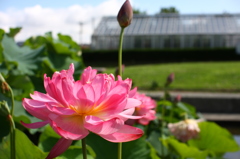 名古屋市農業センターにて　