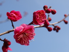大高緑地公園にて