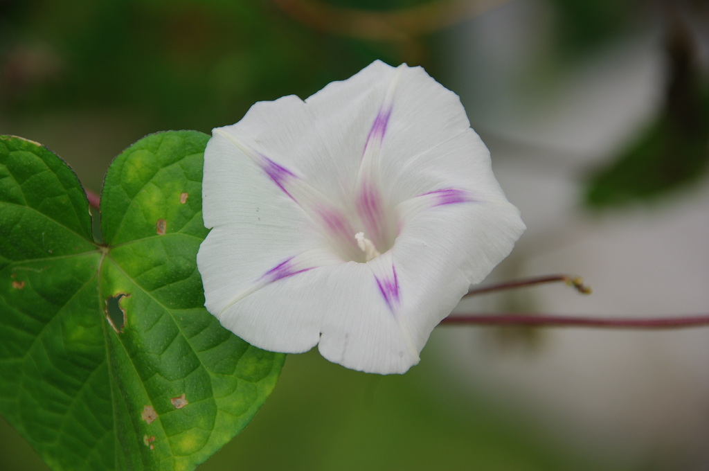 名古屋市農業センターにて