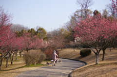 大高緑地公園にて