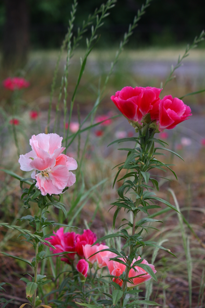 大高緑地公園にて　