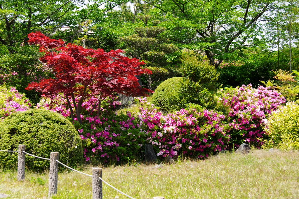 大高緑地公園にて　